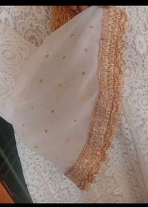 Chikankari Partywear Anarkali Kurti Gown