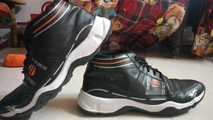 Men Sports Shoes