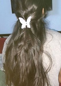 BUTTERFLY CLIPS 🦋