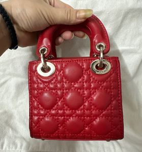 Mini Dior Bag