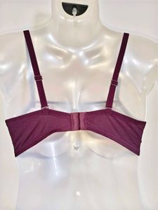 Lace Maroon Bra 34 C