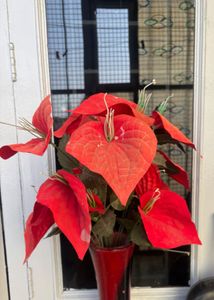 Red Anthurium Arrangement