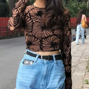 Sheer Top