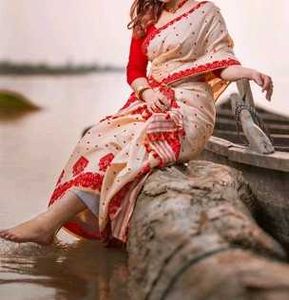 Elegant Ethnic Saree