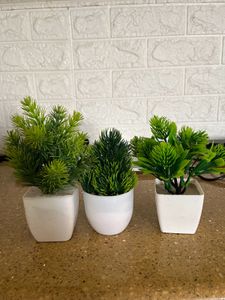 3 Artificial Plants