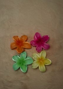 Hawaiin Clips With A Pop Of Different Colours 🌸‼️