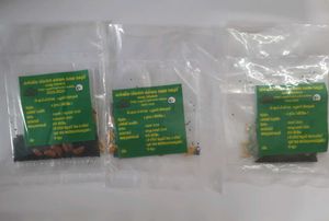 Vegetable Seeds