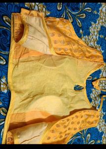 Saree With Sleeveless Blouse