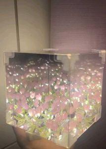 Tulip Lamp🌷