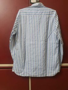 Men Shirt