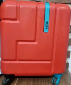 Safari Gym & Travel Bag