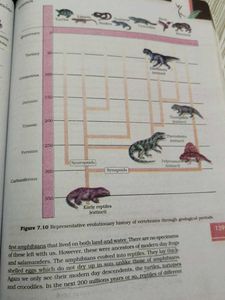 Class XII Biology Textbook