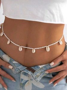 Cawrie Shells Accessories