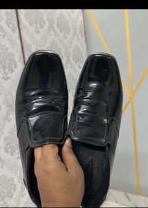 Catwalk Belly (500) Only