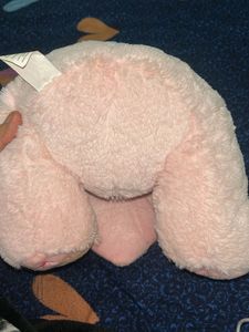 Cute Pink Teddy Bear - Love You