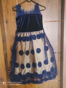 Velvet and Net Frock