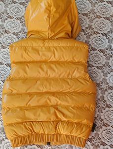 Hooded Jacket For Kids