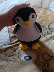 White Penguin