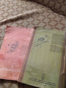 Class 11 English Ncrt Hornbill And Snapshot Books