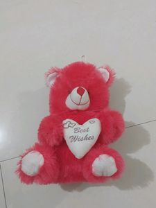 Cute Tedd with Best Wishes Tag