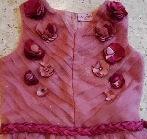 Onion Pink net and satin dress