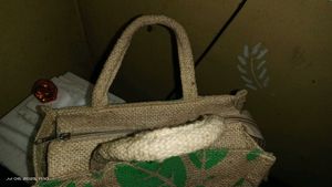 Lunchbox Bag 🎉