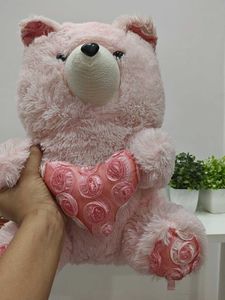 Pink Teddy Bear