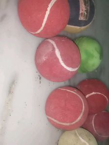 balls all are branded Maruti Cosco and nivia