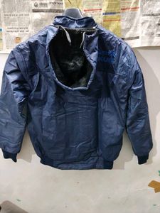 Stylish Blue Jacket