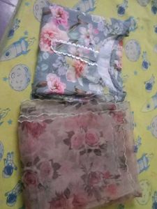 Kurta And Organza Duppata