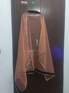 Back Less Blouse Lehanga