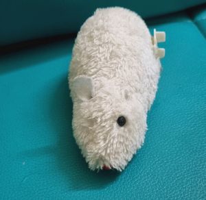 White Mouse