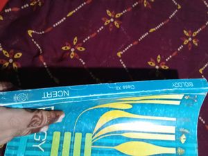 NCERT Biology Class XII