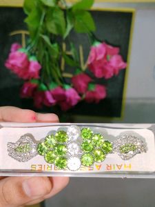 Hair Clips Combo (2) /New
