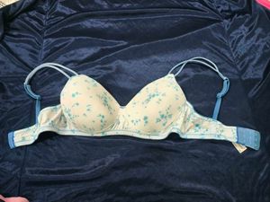 Set OF TWO CLOVIA Padded  BRA