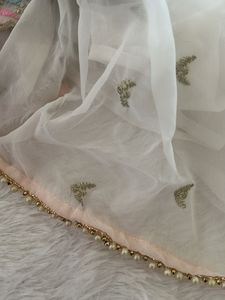 Embroidered Mirrored saree with stitched blouse