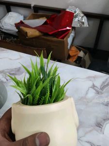 Beautiful Table Owl For Offfice Or Room Decoration