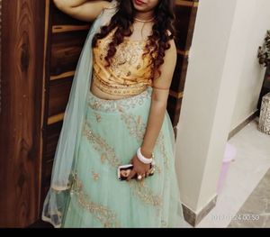 Beautiful Net Lahenga