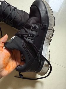 The North Face Black Sneakers