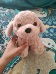Cute Plush Puppy