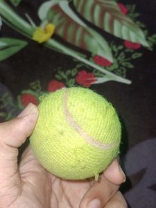 Tennis Ball