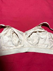 woman bra size 46E