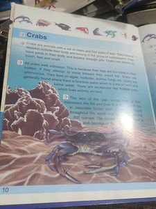 Know All about Ocean World