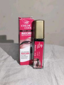 Makeup Bundle
