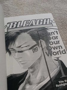 Bleach: Can&#39;t Fear Your Own World I