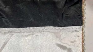 Elegant Black Saree