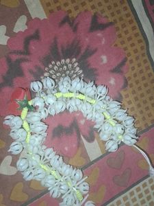 Hair Accessories