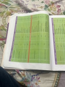 Viva social science book class 6NEP 2020 NCF 2023