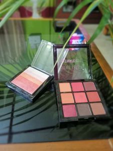 Combo Of Eyeshadow And Highliter