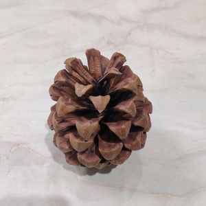 2 Piece Pine Cone Decorative